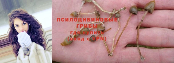круглые Заволжск