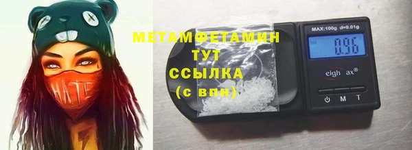 прущие грибы Заволжье