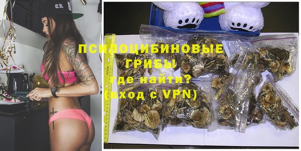 прущие грибы Заволжье