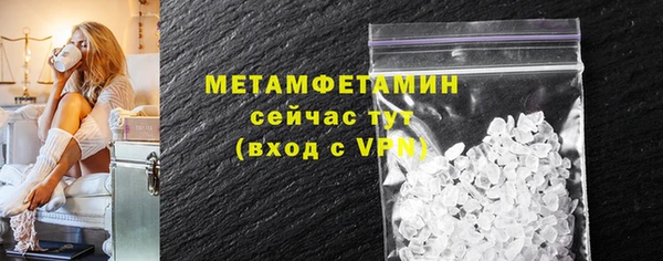 прущие грибы Заволжье