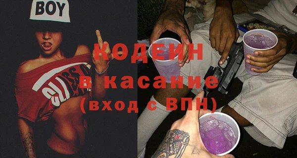 прущие грибы Заволжье