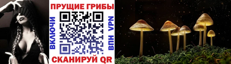 Псилоцибиновые грибы прущие грибы  Купить  Цимлянск 